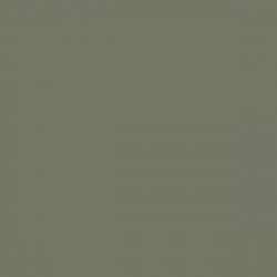 RAL 6003